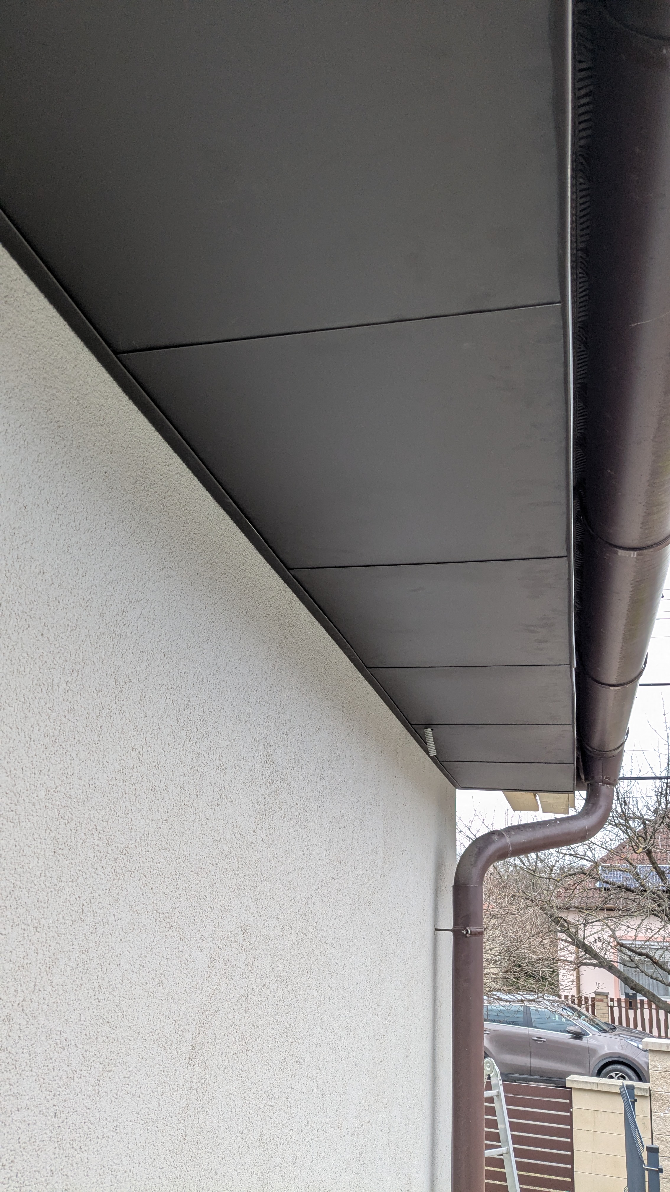 PXL_20250208_100550360